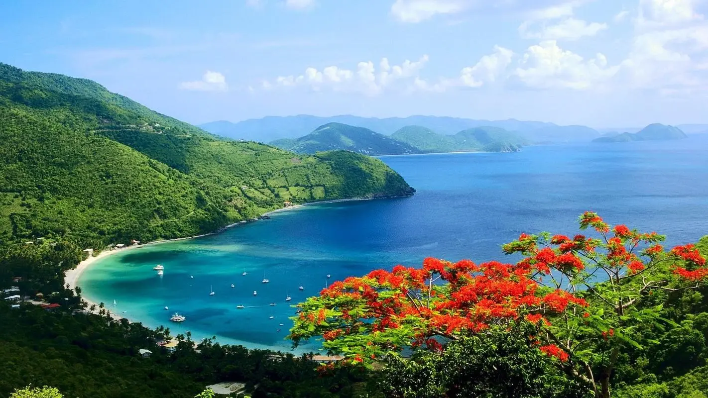 可靠性高端